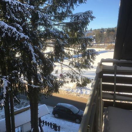 Fewo Andresen Hahnenklee ゴスラー エクステリア 写真